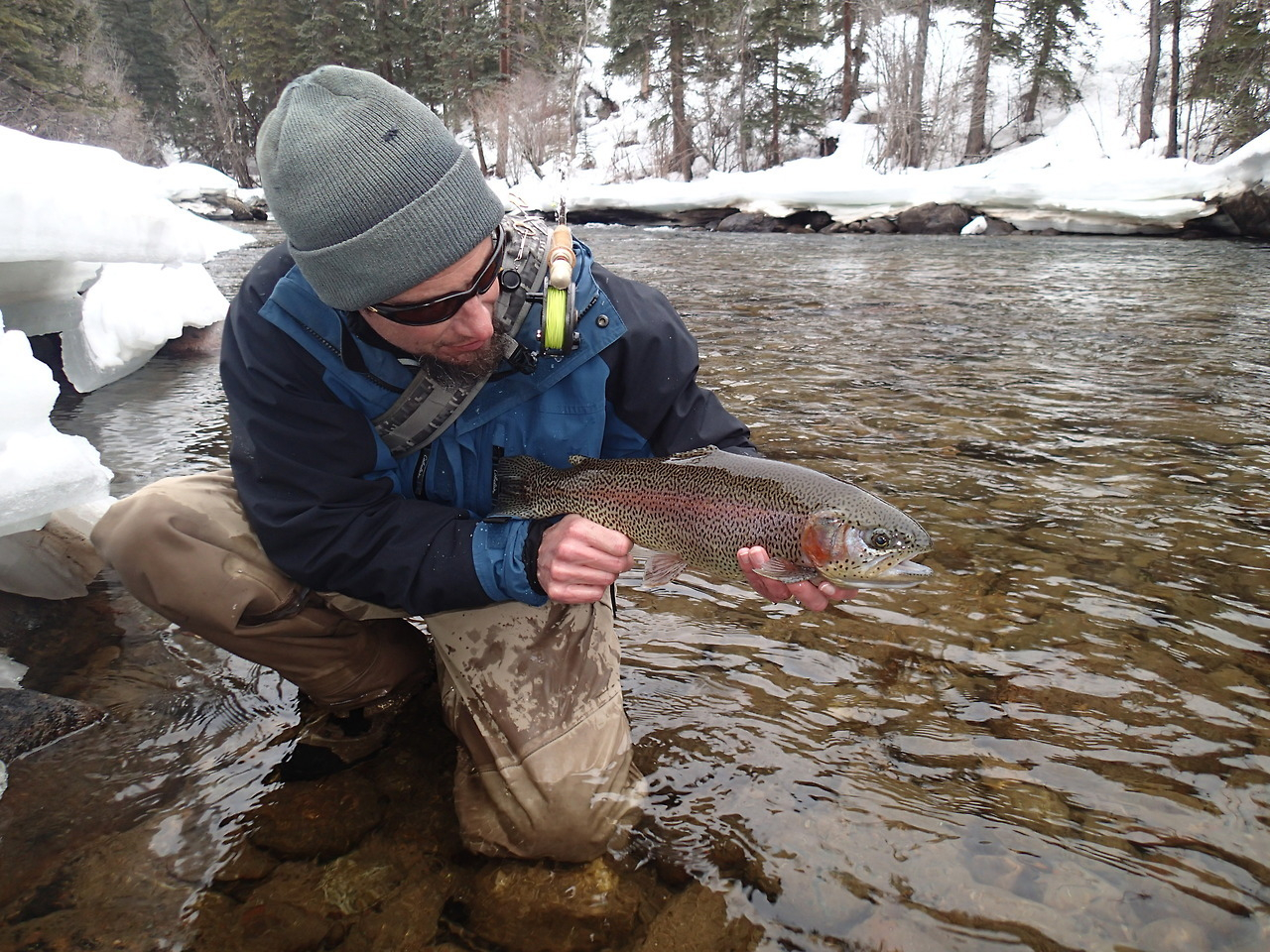 gunnison valley winter fly fishing The Wicked Fly